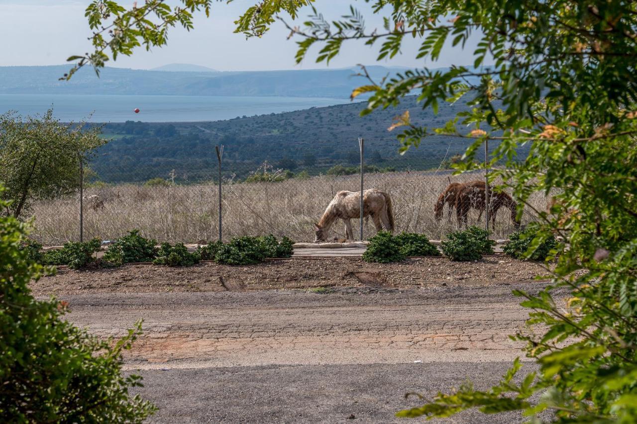 Nof Kinneret Cabins Had Nes Eksteriør bilde