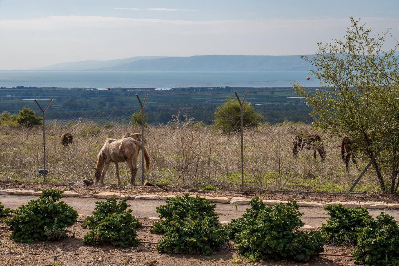 Nof Kinneret Cabins Had Nes Eksteriør bilde