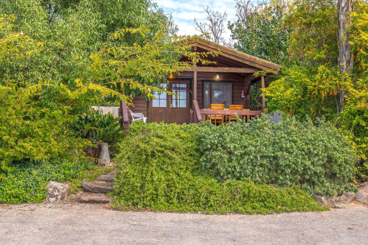 Nof Kinneret Cabins Had Nes Eksteriør bilde